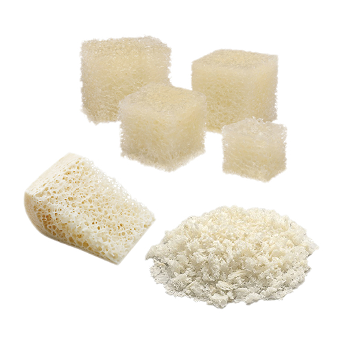 HC Biologics_Aloinjertos y Productos a Base de Tejidos HC Biologics_Aloinjertos y Productos a Base de Tejidos